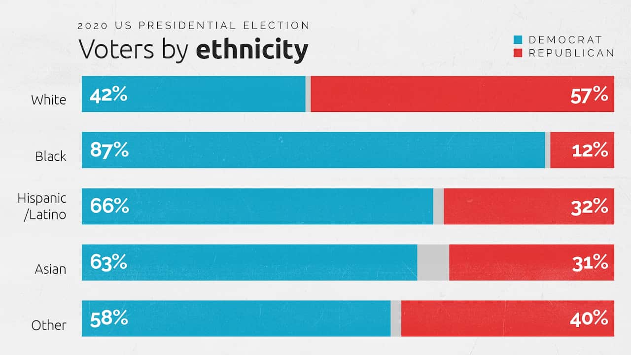 Votes by ethnicity