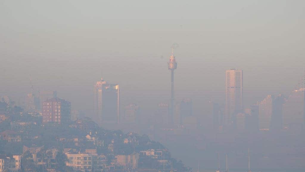 Sydney is blanketed by a thick layer of hazardous smoke.