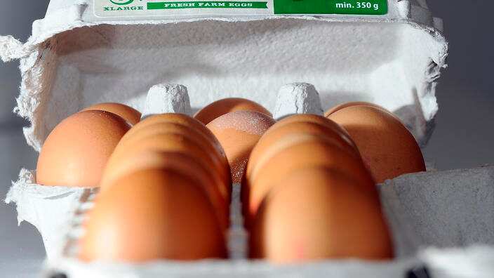 Free range eggs shown with caged eggs in Canberra, Friday, Oct. 4, 2013. Woolworths have announced that the company will phase out caged eggs from 2018. (AAP Image/Alan Porritt) NO ARCHIVING
