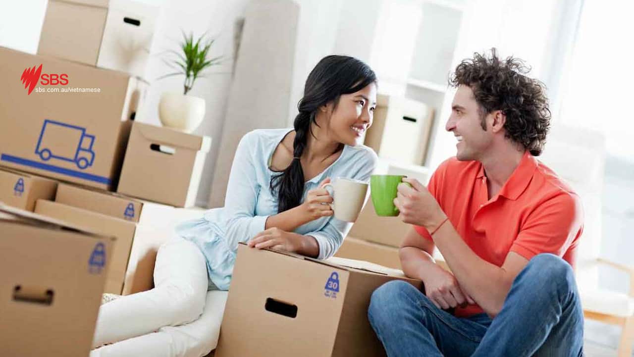 Nhân viên môi giới có thẩm quyền vào các hệ thống để liên hệ với trên 10 ngân  hàng  và đến 50 công ty cho vay khác để giúp đỡ người vay tiền. 