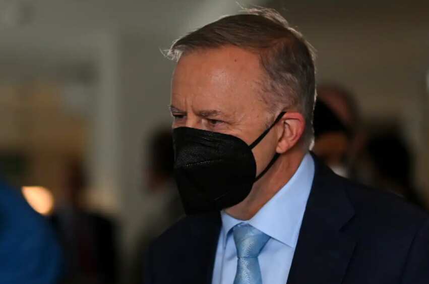 Opposition leader Anthony Albanese.