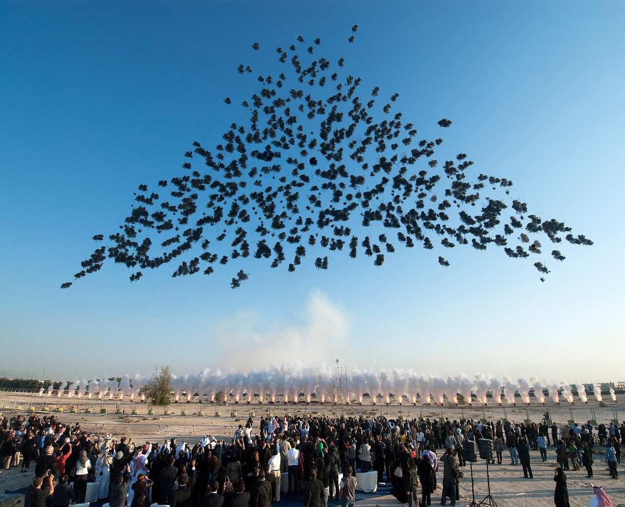 Terracotta Warriors: Guardians of Immortality | Cai Guo-Qiang: The Transient Landscape