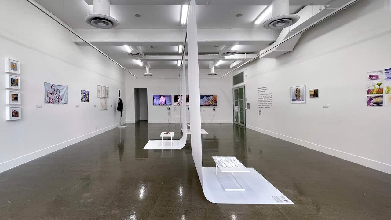 “Reclaiming Narratives: Melbourne Artists respond to I Am Not A Virus” Exhibition at RMIT University Project Space/Spare Room