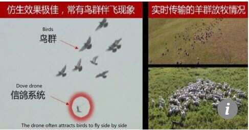 South China Morning Post