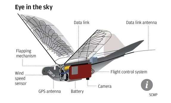 South China Morning Post