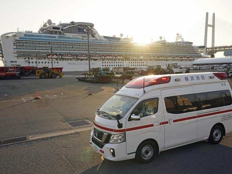 the cruise ship Diamond Princess docked in Yokohama, Japan.