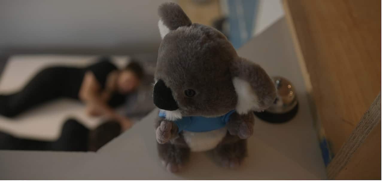 Koala sold 17,000 mattresses in 2017.