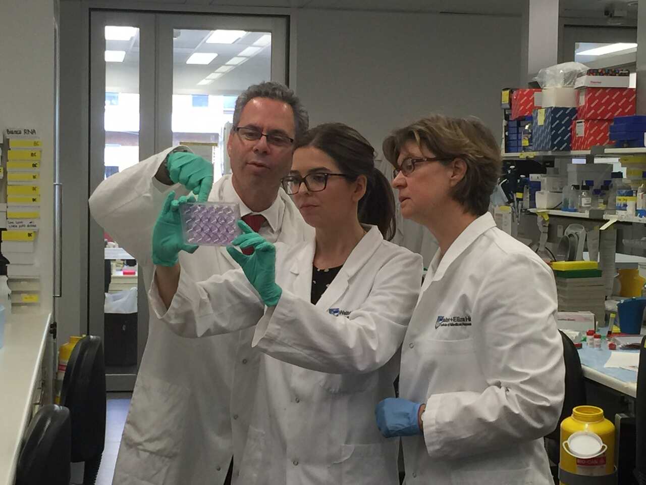 Research team Walter and Eliza Hall Institute