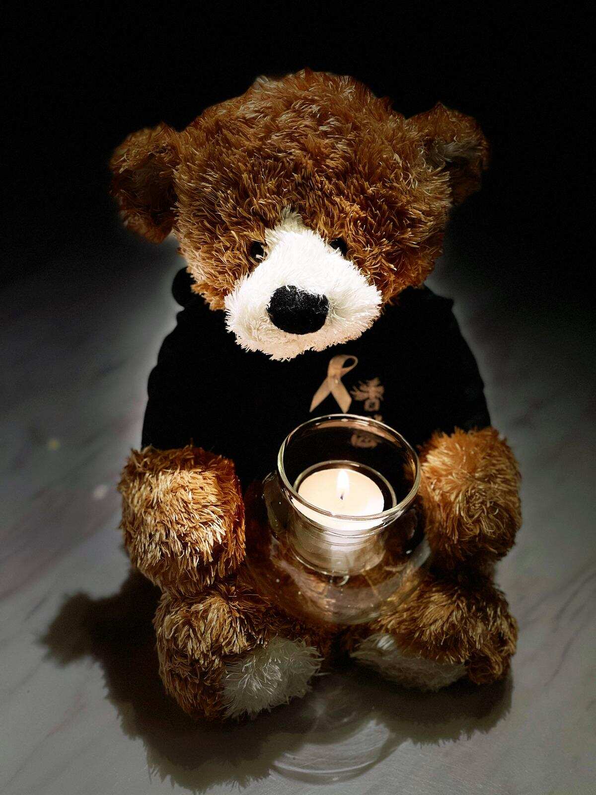 要求被收起的小熊