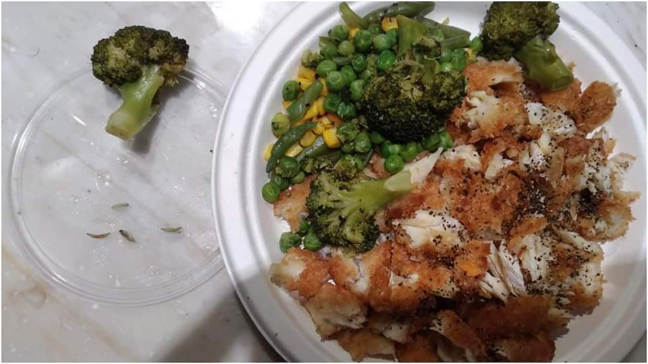 A photo taken by an asylum seeker showing maggots on the lid of a plastic container.