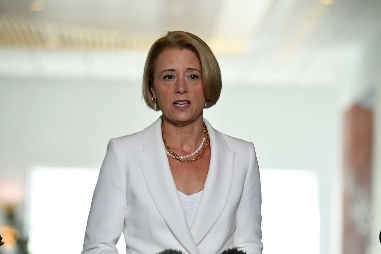 Shadow Minister for Home Affairs Kristina Keneally speaks to the media at Parliament House in Canberra.