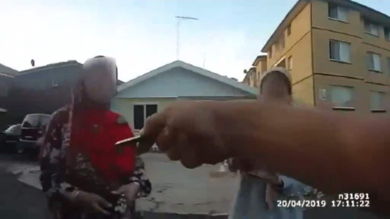 Two NSW police officers have been found to have engaged in serious misconduct at a traffic stop in Western Sydney.