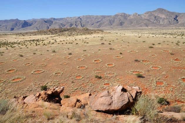 Cercles de fées en Namibie