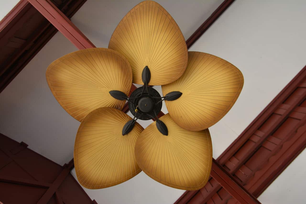 Ceiling fan