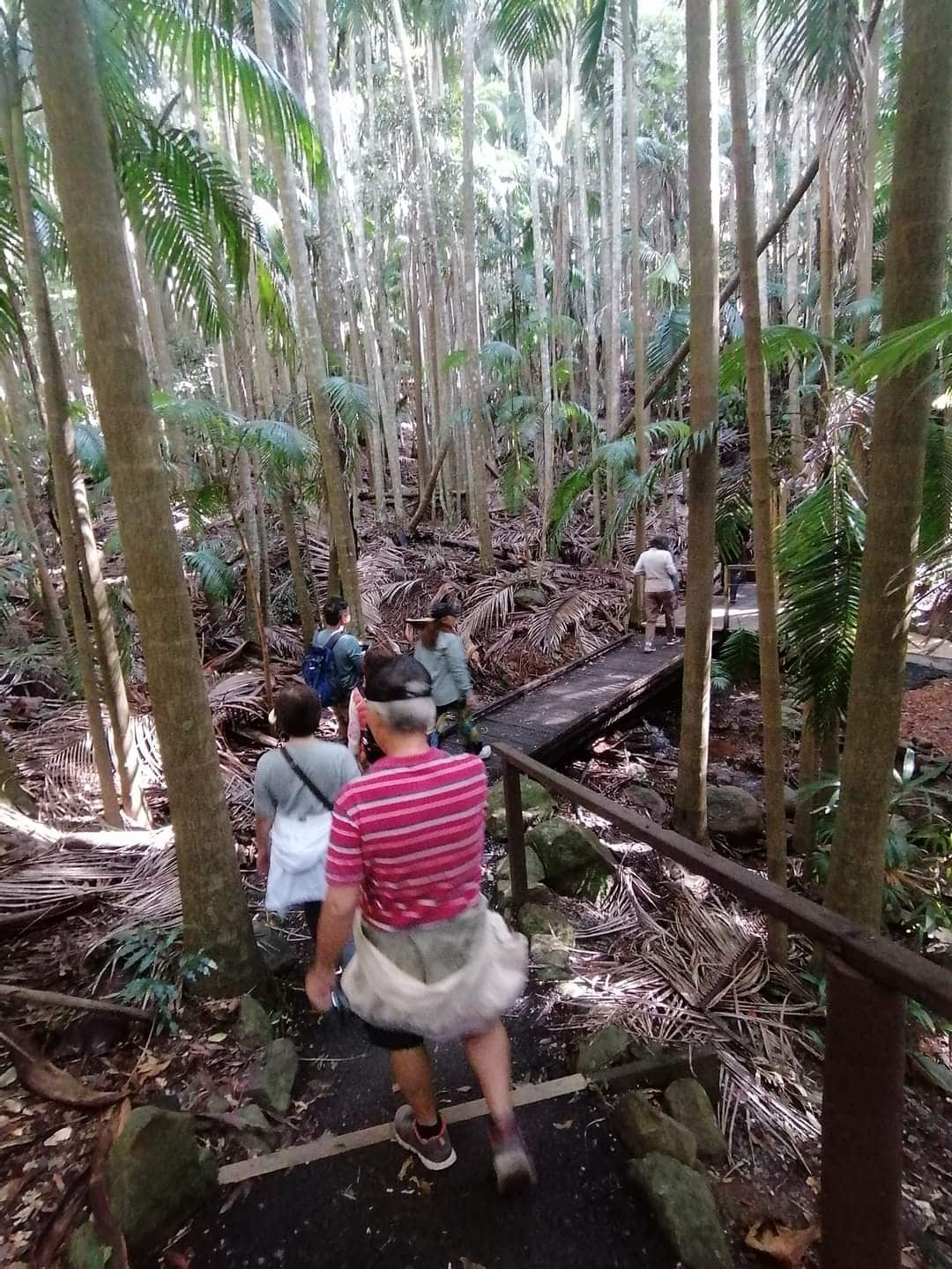 Ollie’s Walk and Talk program