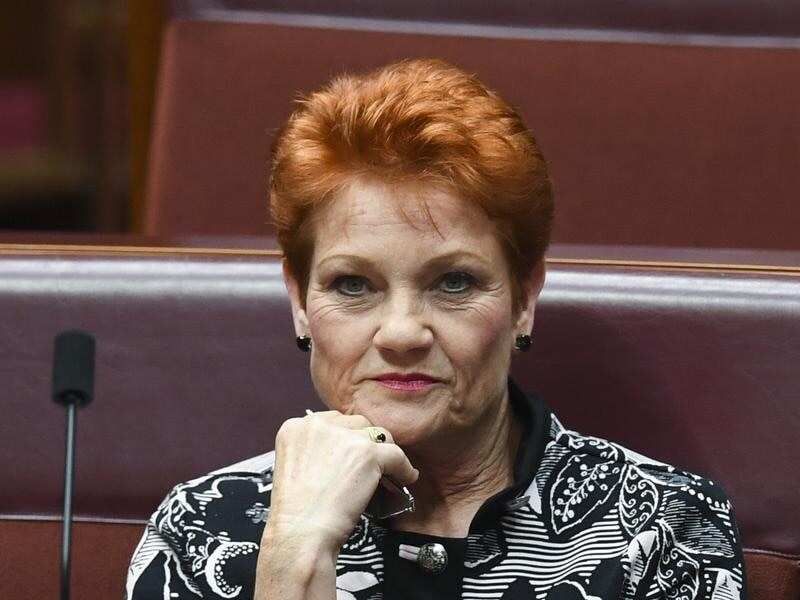 One Nation party leader Pauline Hanson