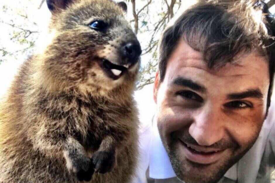 Roger Federer e un quokka di Rottnest Island