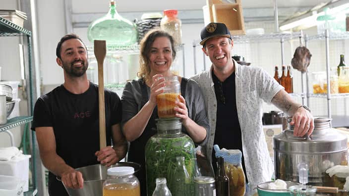 fermentation