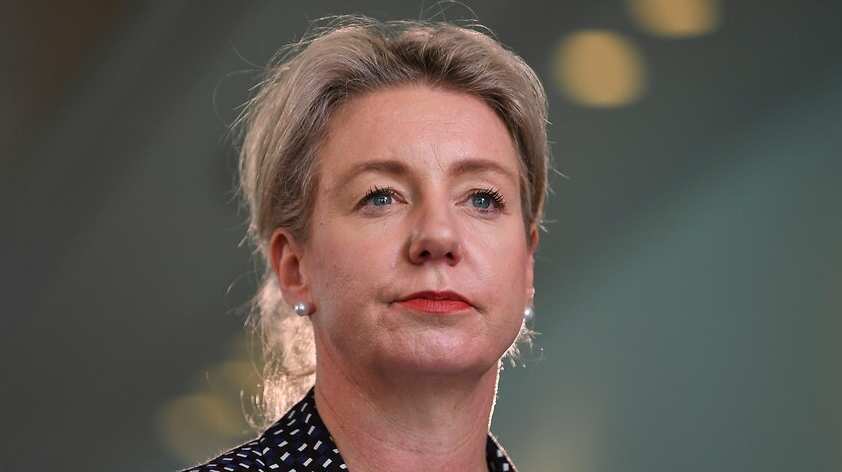 Agriculture Minister Bridget McKenzie. Source: AAP