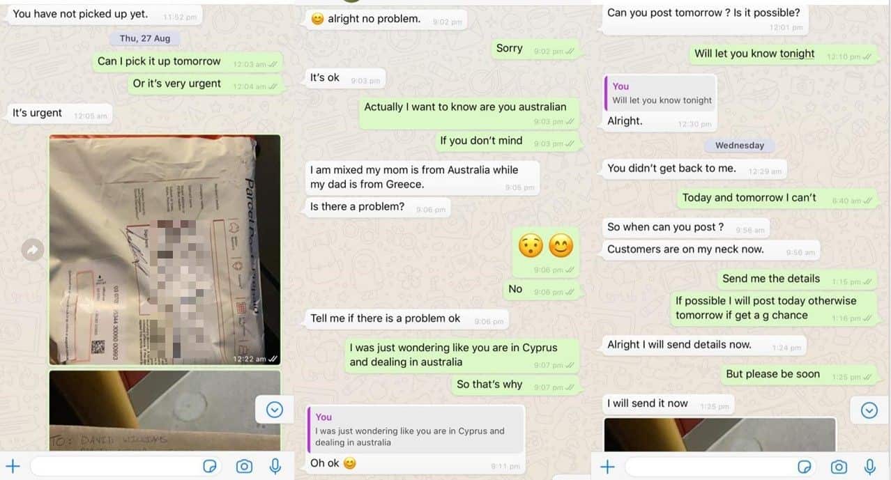 Mr Singh has supplied SBS Punjabi over 30 screenshots of his communication with his ‘fraudulent’ job provider