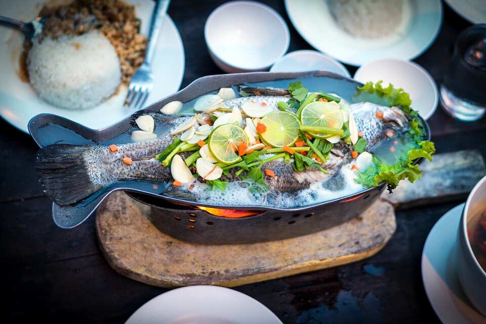 barramundi fish