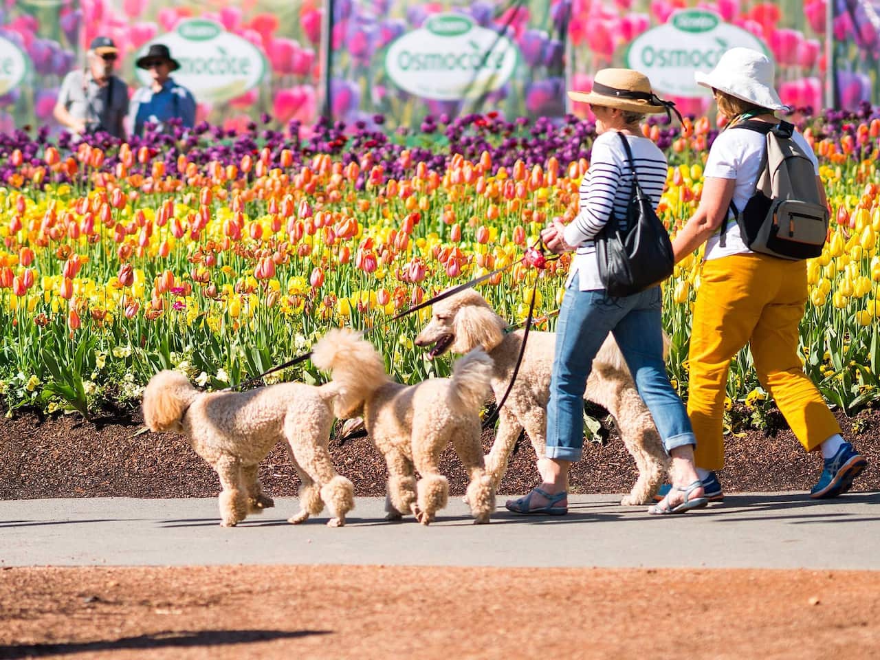 Canberra Floriade 2018