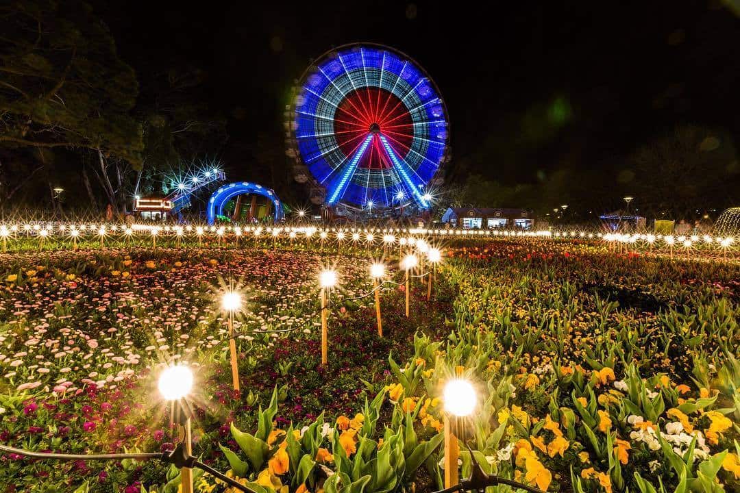 Floriade Nightfest 2018
