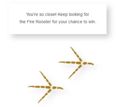 Rooster's footprints