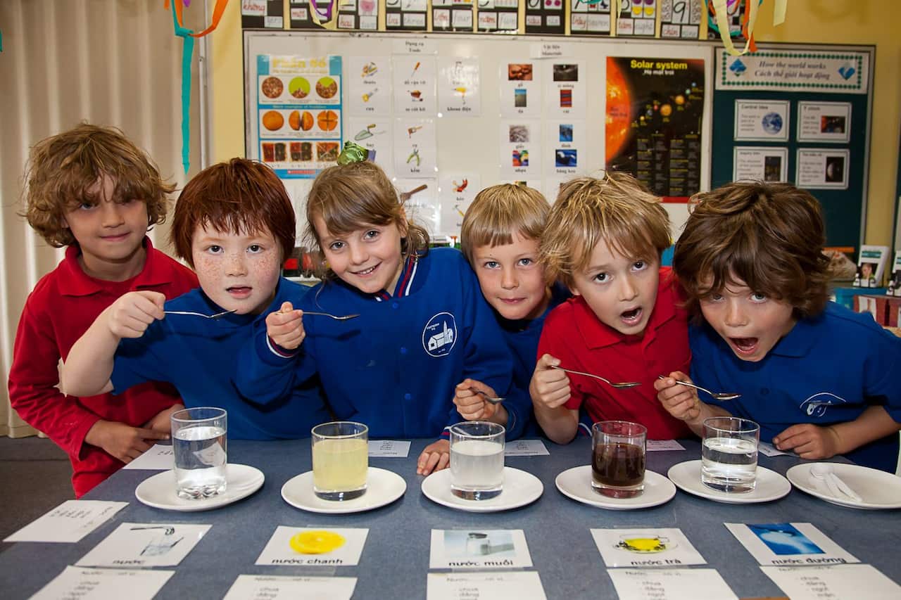 Học sinh song ngữ nếm mặn, ngọt, chua, cay, đắng, vô vị, trong lớp Song ngữ 2011