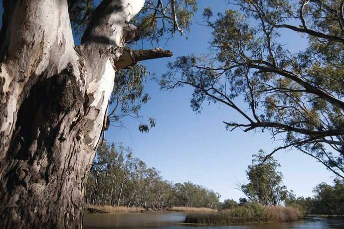 French Island National Park