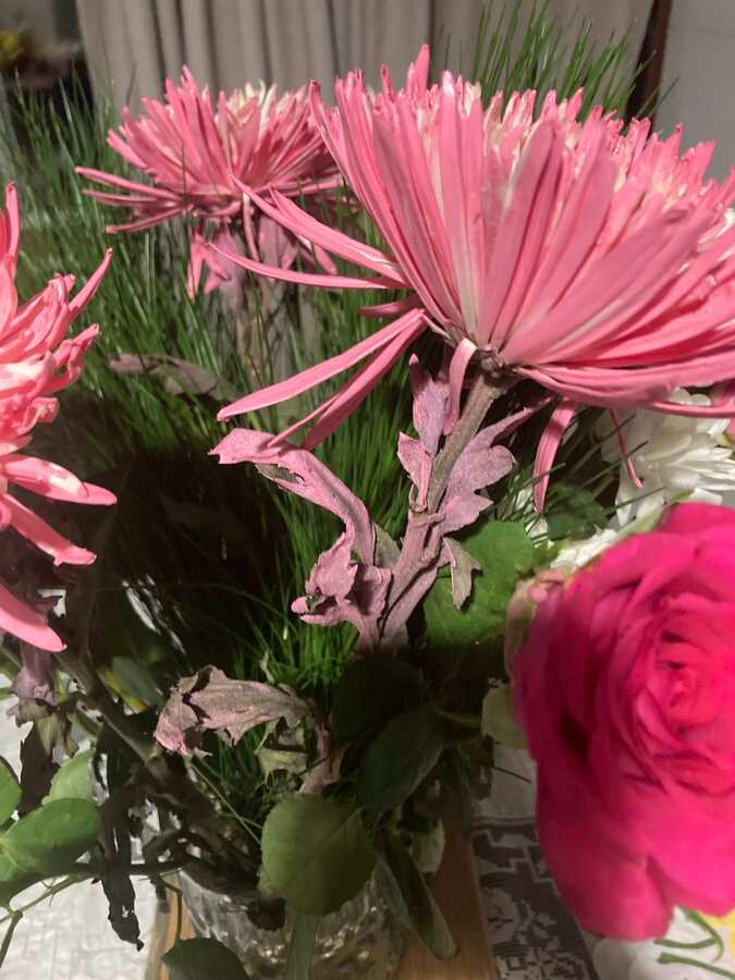 spray paint flowers from Woolworths