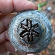 María Fernanda Cardoso, una de las artistas latinoamericanas más importantes de este siglo, vive en Australia