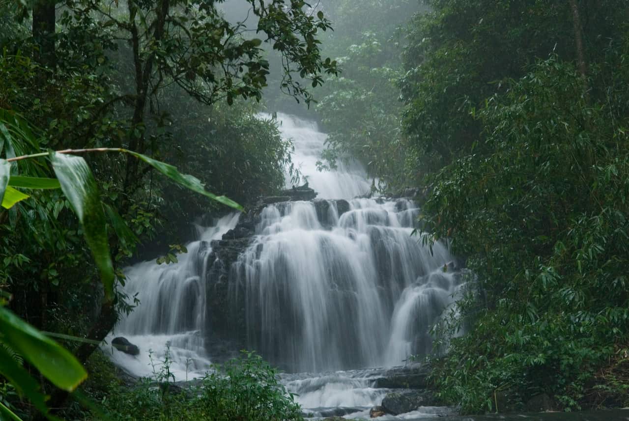 Gavi waterfalls- one of the many waterfalls in Kerala