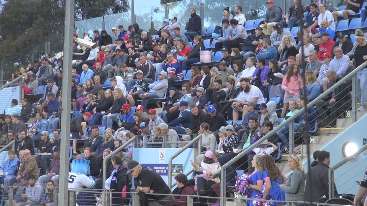 Blacktown baseball stadium 