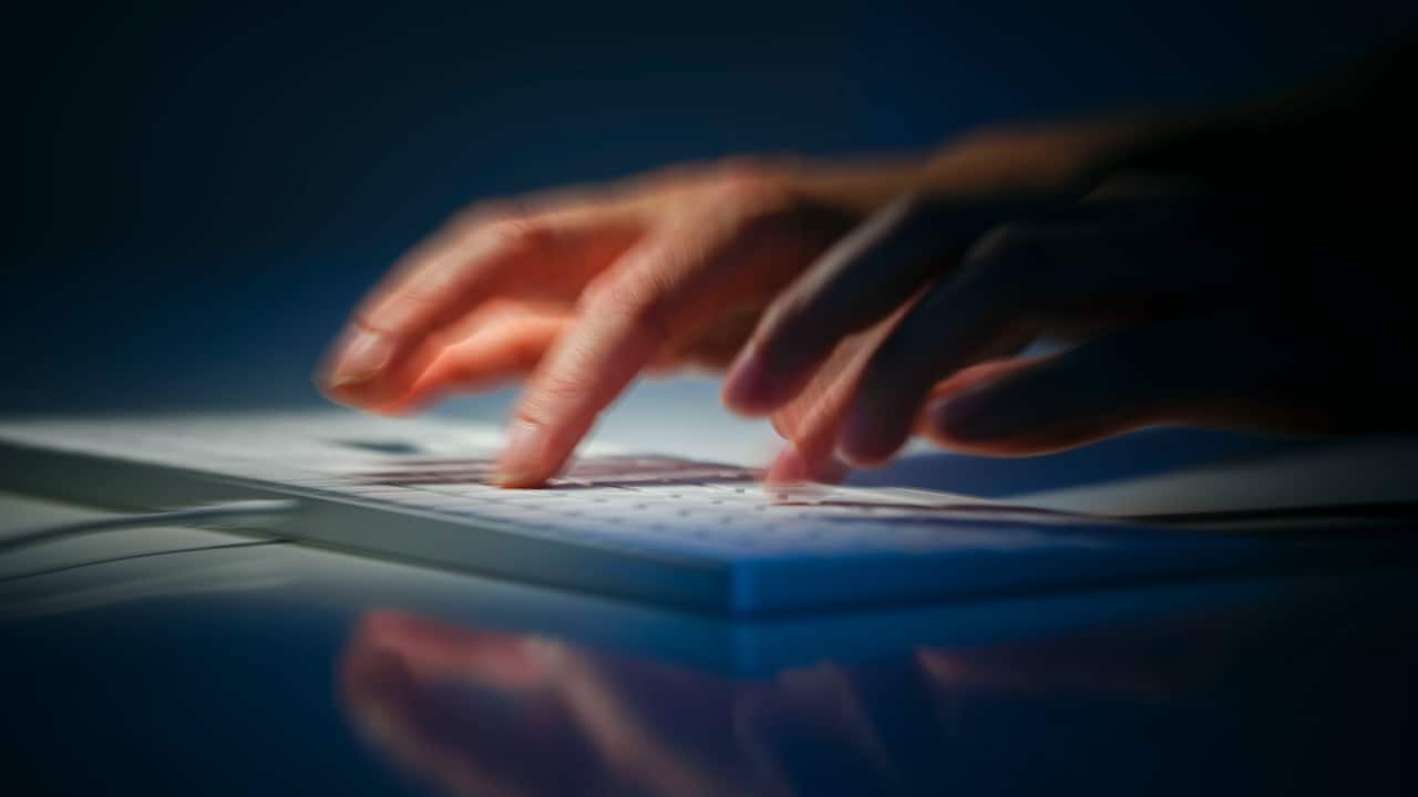 Kitten charges premium prices for high-quality assignments. 