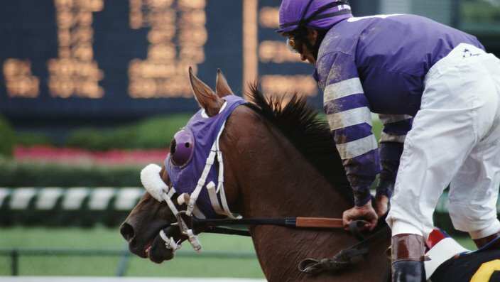 Jockey riding thoroughbred race horse, side view