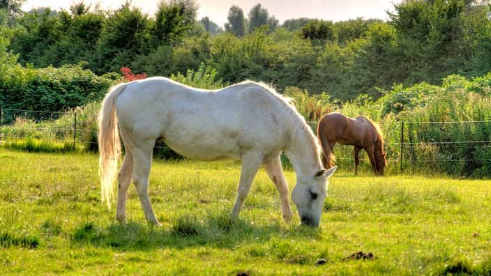Dsseldorf - Angermund - Germany