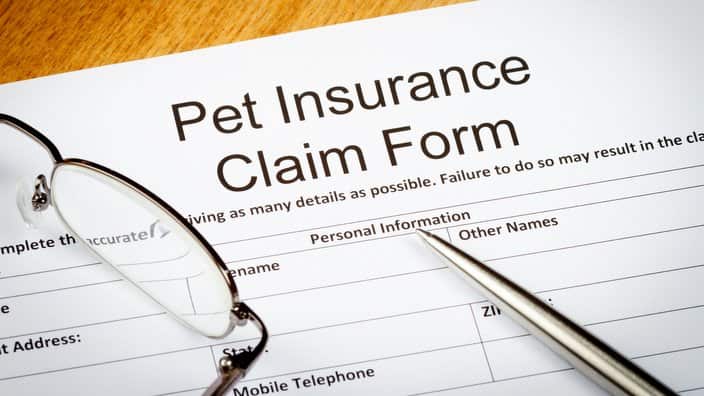 Pet Insurance Claim Form
