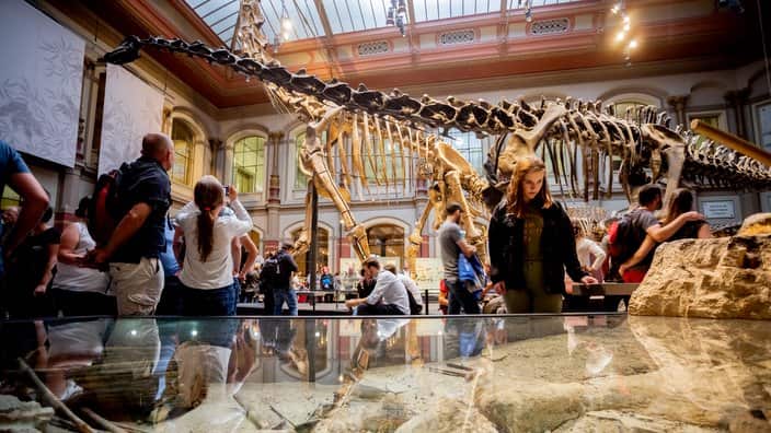 Long Night of Museums