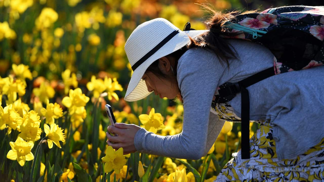 Crowds Enjoy Floriade 2019