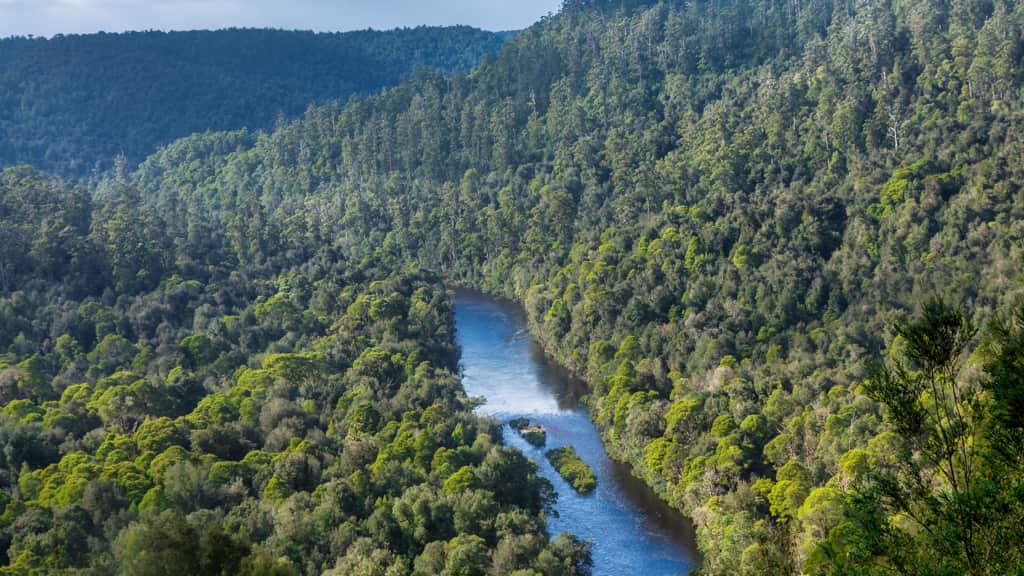 The Arthur River cuts through the Tarkine Wilderness