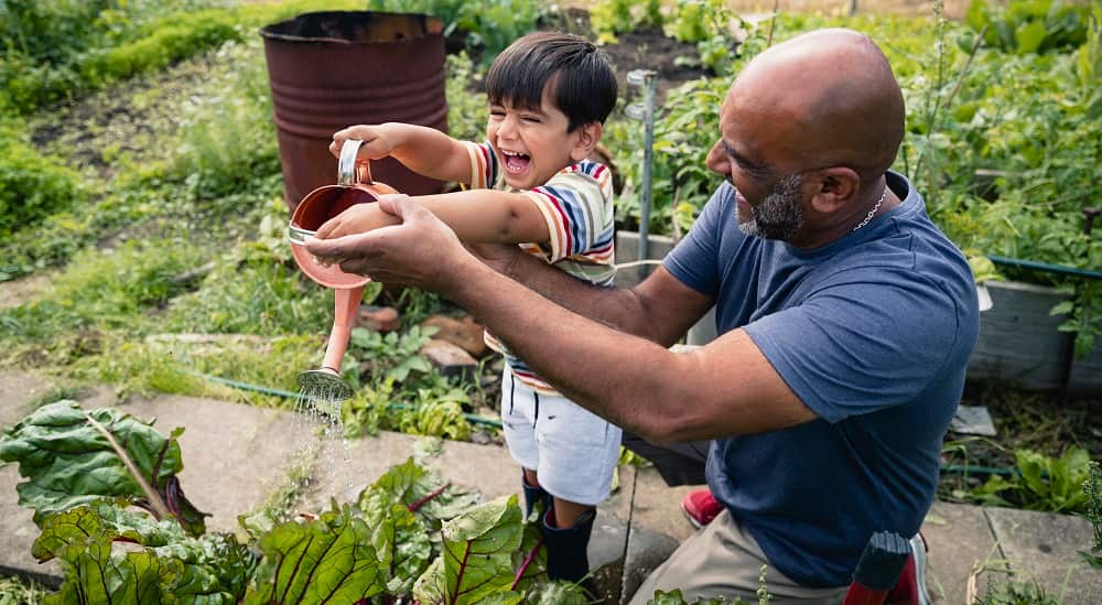 Helping With The Garden