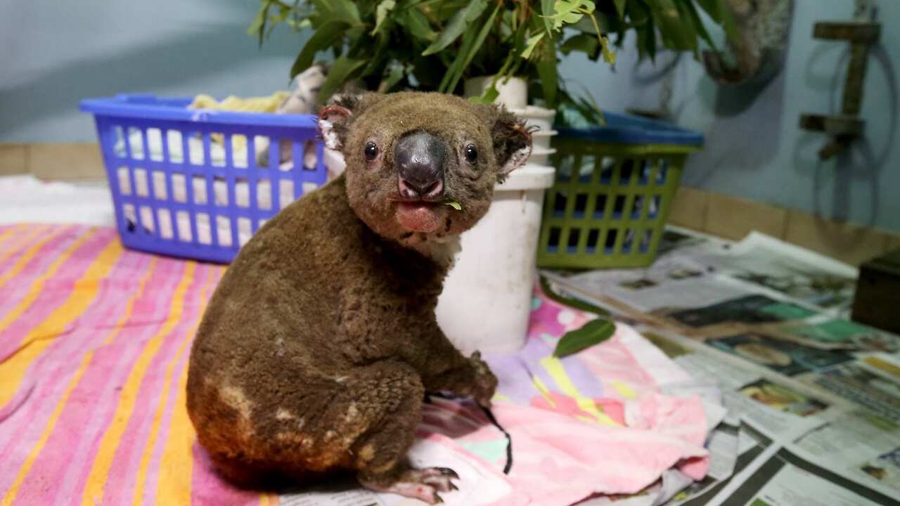 Photo by Nathan Edwards/Getty Images