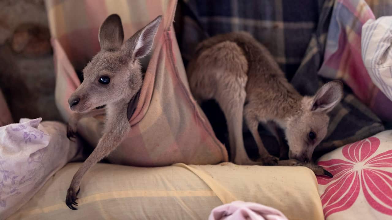 Wytaliba and Torrington Communities Start To Rebuild Following Devastating Bushfires