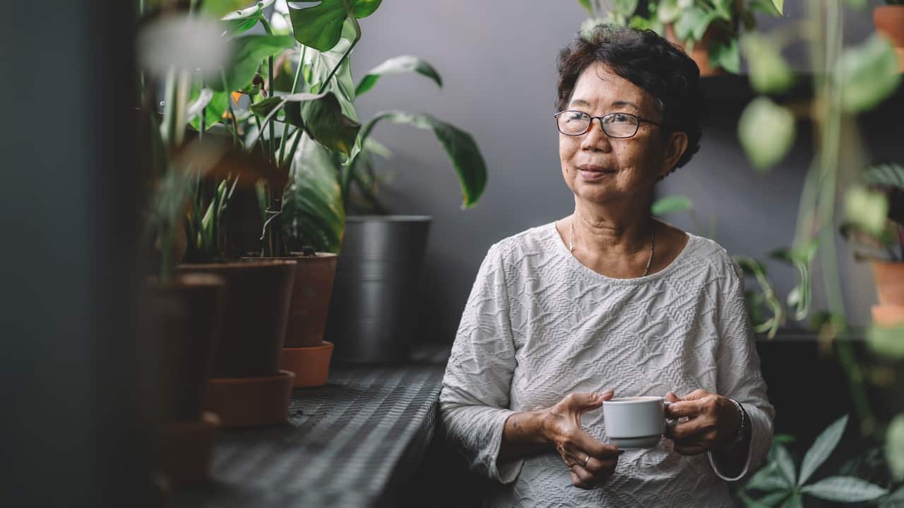 Some social services such as Meals Plus in Parramatta have been able to help late-life Chinese immigrants cope with daily challenges.