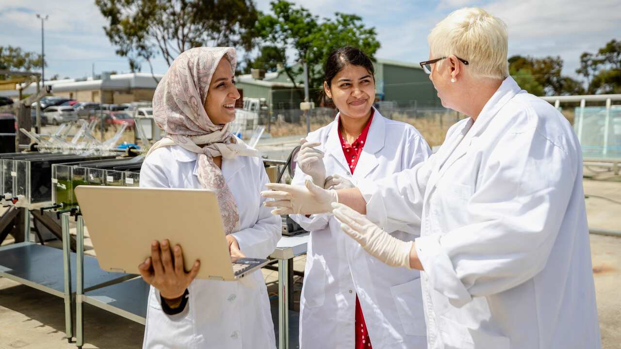 A shot of a group of scientists working on research outdoors, they are standing next to water containers and using a laptop to look at their findings in Perth, Australia.