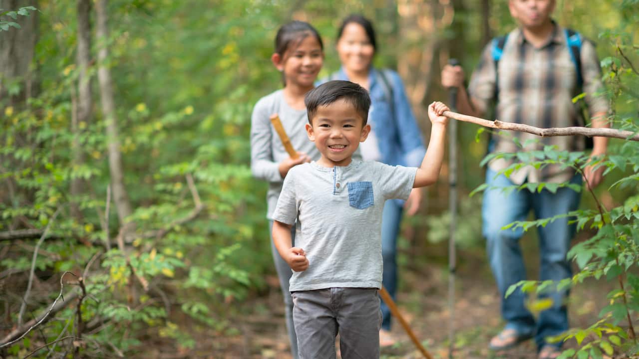 Lockdown weekend activity