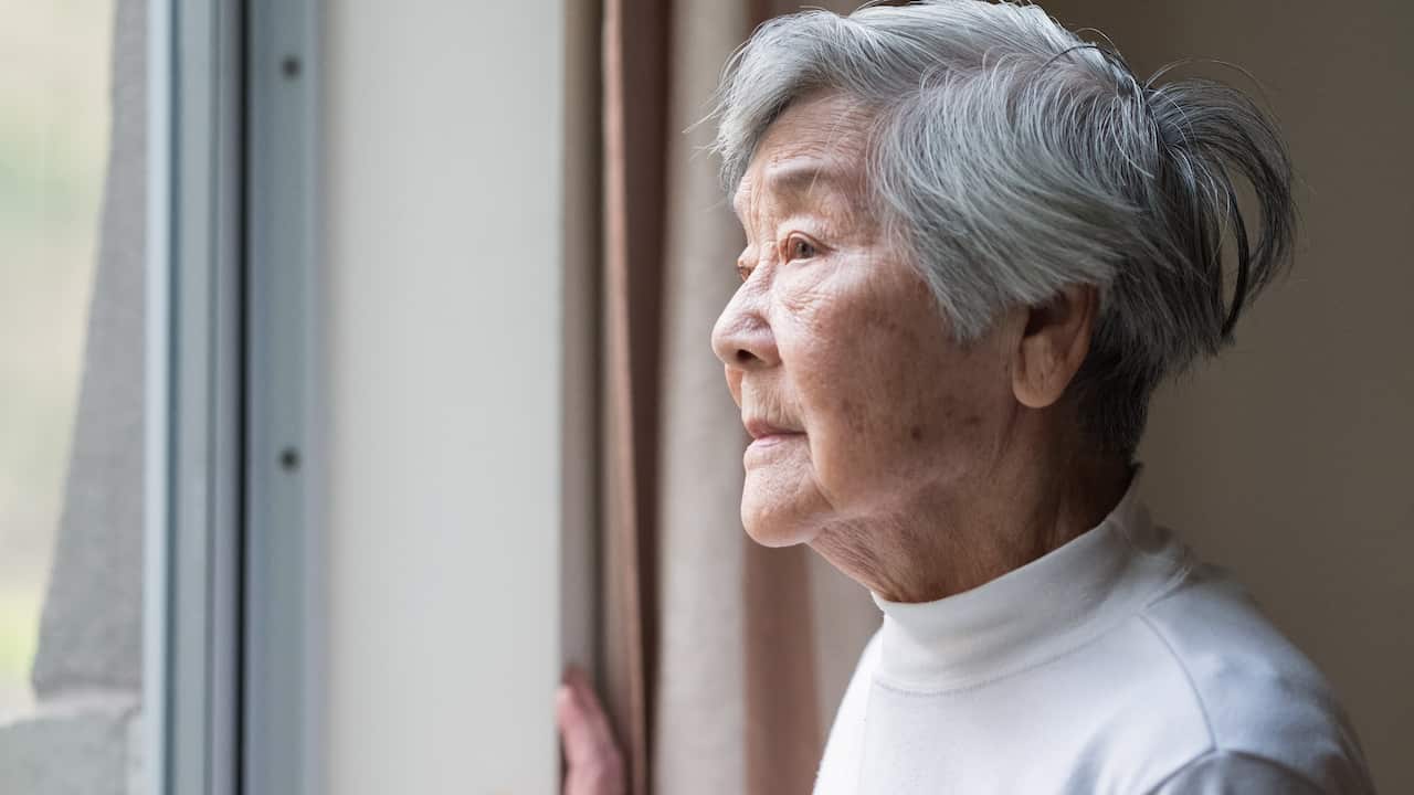 Older women are more likely to be at risk of homelessness if they are an immigrant from a non-English-speaking country.