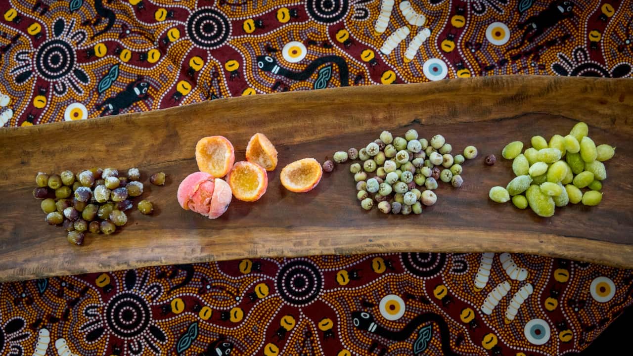 Aboriginal Food in Western Australia outside Perth 