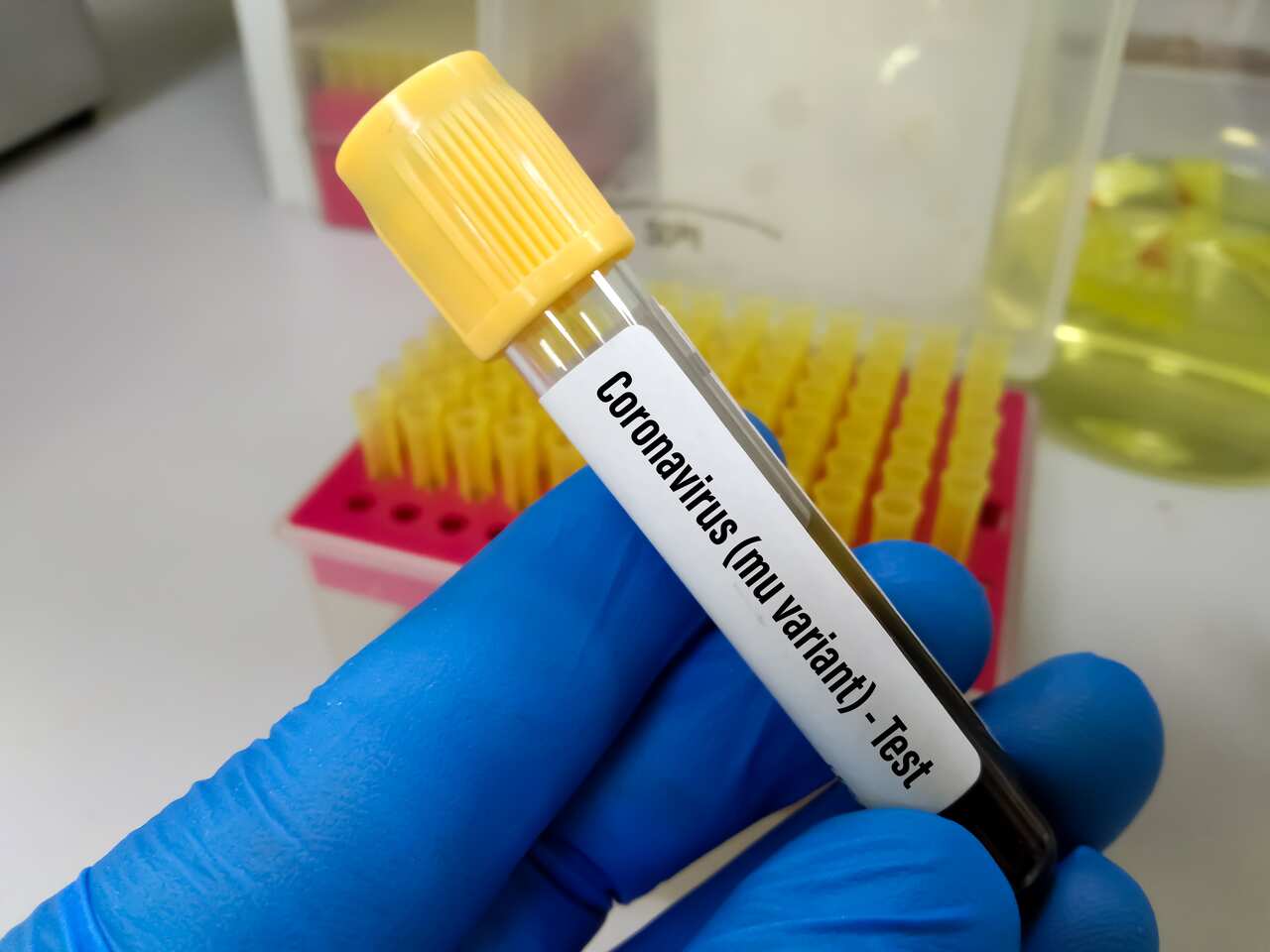 Scientist holding blood sample tube for SARS-COV-2, Coronavirus, Covid-19 mu (C.1.2) Variant test.
